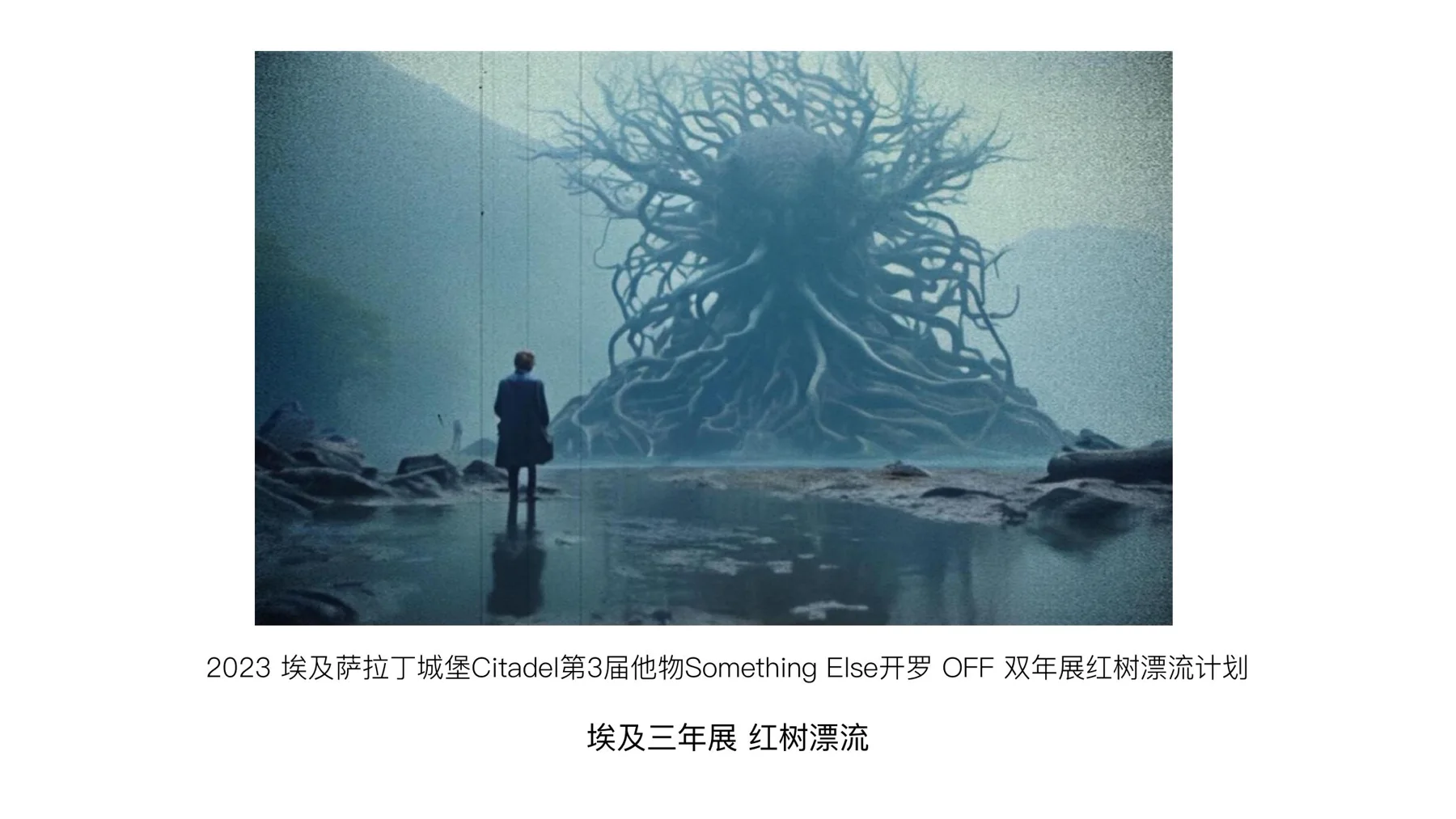 红树漂流计划在开罗萨拉丁城堡展出